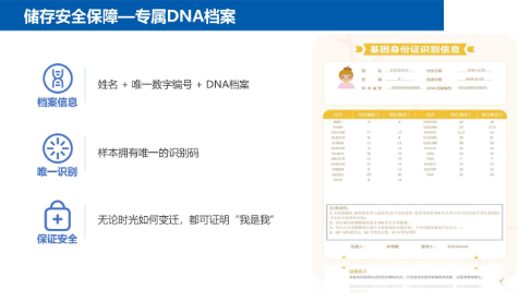牙髓細胞儲存機構有哪些